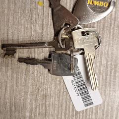 Sleutelbos, jak bylo nahlášeno na iLost