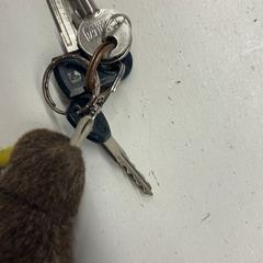 Chaveiro, como reportado por HTM utilizando o iLost