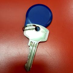 Nøkkel, som rapportert av UvA REC ved bruk av iLost