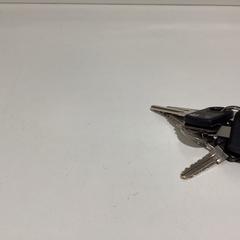 Keychain Sleutelhangers-271225 DISN1, as reported by Ziggo Dome using iLost