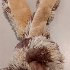 Cuddly slap, as reported by De Efteling using iLost