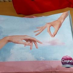 Tas -Draagtas Cosynel, zoals gemeld door Centraal magazijn met iLost