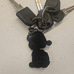 Kľúč, ako bolo nahlásené GVB pomocou iLost