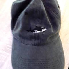 Kšiltovka, jak nahlášeno EBS Tramplein pomocí iLost