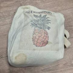 かばん がiLostで EBS OV Poeldijk によって報告されました