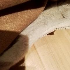 Jaquetes, segons ha informat Beekse Bergen Resorts en Hotel mitjançant iLost