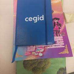 Agenda + revista + saco, segons ha informat IKEA Braga mitjançant iLost