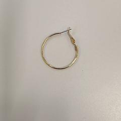 Orecchino Goudkleurig, come riportato da Heidelberglaan 15 utilizzando iLost