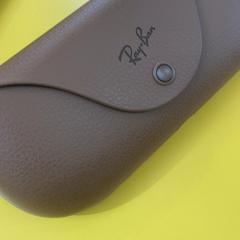 Brilleetui Bruin, som rapportert av UMC Utrecht ved bruk av iLost