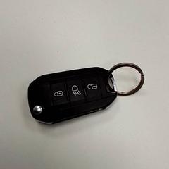 Autoschlüssel, gemeldet von ilévia über iLost