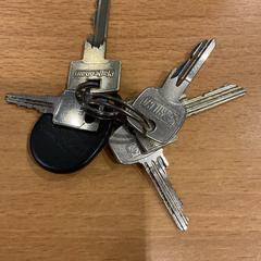 Schlüsselanhänger, gemeldet von Gemeente Amsterdam über iLost