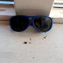 Zonnebril, som rapportert av DierenPark Amersfoort ved bruk av iLost