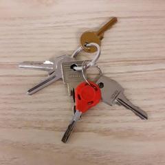 İLost kullanarak IKEA Breda tarafından bildirildiği gibi Anahtar