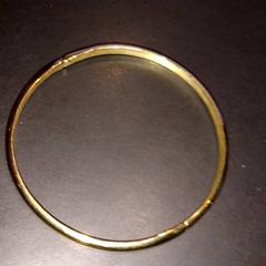 Pulsera, ha sido reportado por TivoliVredenburg con iLost