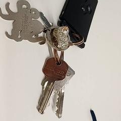 키가 있는 키 케이스 Pieuvre en porte clefs, iLost를 사용하여 IKEA Saint-Etienne에 보고됨
