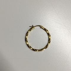 Brinco Gevonden in publiekshal, como reportado por Gemeente Haarlem utilizando o iLost