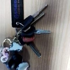 Klucz, zgłoszono przez Hermes Eindhoven przy użyciu iLost