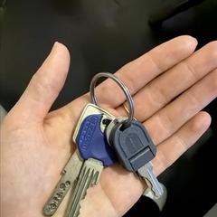 Klucze Set, zgłoszono przez Sir Albert Amsterdam przy użyciu iLost