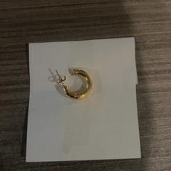 Oorbel, zoals gemeld door Van der Valk Hotel Haarlem met iLost