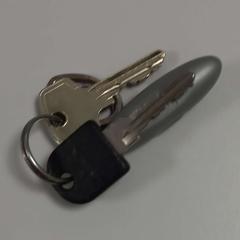 Giltza-giltza, gisa salatu by Arriva West-Brabant iLost erabiliz