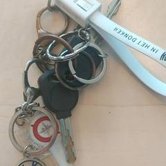 Chiavi, come riportato da Blauwnet Zwolle utilizzando iLost