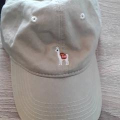 Kšiltovka, jak nahlášeno EBS Tramplein pomocí iLost