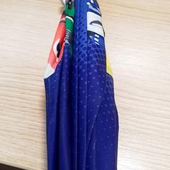 Esernyő Blauw, amint azt Qbuzz Fryslân az iLost segítségével jelentette.