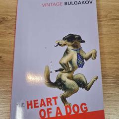 책, iLost를 사용하여 Breda University of Applied Sciences Mgr. Hopmansstraat에 보고됨