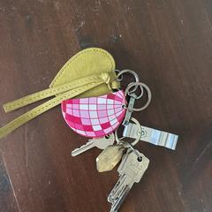 Sleutelbos an iLost gemeldet