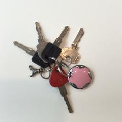 Porte-clés, a été signalé par Gemeente Weert utilisant iLost