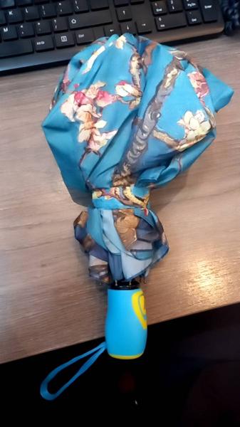 Umbrella