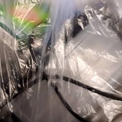 Allerlei, amint azt Van der Valk Hotel Vianen az iLost segítségével jelentette.