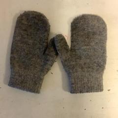 Guants, segons ha informat Artis mitjançant iLost