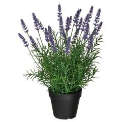 IKEA termék, amint azt IKEA新三郷 az iLost segítségével jelentette.