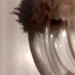 Skrangle, som rapportert av De Efteling ved bruk av iLost