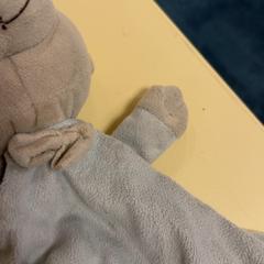 ぬいぐるみ がiLostで De Tovertuin によって報告されました