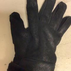 Guant Rechts, segons ha informat Artis mitjançant iLost