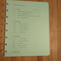 Jegyzetfüzet, amint azt Bolognalaan 101 az iLost segítségével jelentette.