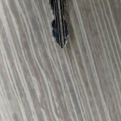 Schlüssel, gemeldet von Regio Antwerpen - Brussel über iLost