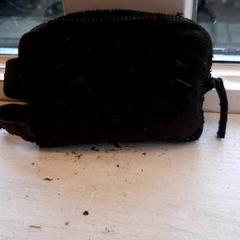 İLost kullanarak DierenPark Amersfoort tarafından bildirildiği gibi Tasje