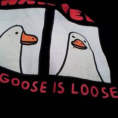 Bolsa Zwart, segundo informou Qbuzz Fryslân usando iLost