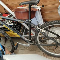 Fiets, segons s'ha informat a iLost