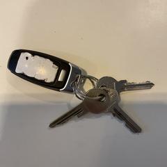 Nøkkel, som rapportert av Gemeente Amsterdam - Bureau Gevonden Voorwerpen ved bruk av iLost