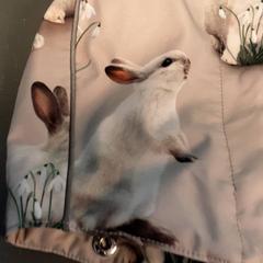 Txapela, gisa salatu by Diergaarde Blijdorp iLost erabiliz