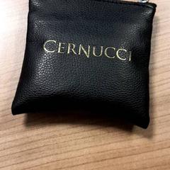 Cartera, segons ha informat Connexxion Hoeksche Waard Goeree Overflakkee mitjançant iLost