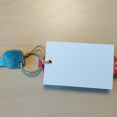 Chiave, come riportato da Regio Oost-Vlaanderen utilizzando iLost