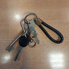 Klíče, jak nahlášeno Politiezone Rivierenland pomocí iLost