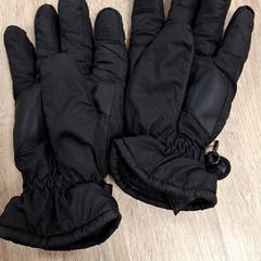 Hansker Zwart, som rapportert av RRReis IJssel-Vecht Lelystad ved bruk av iLost