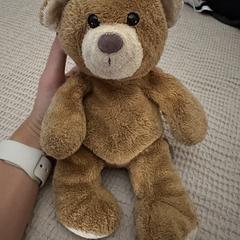 Bruine knuffelbeer, iLost-i jakinarazi zaion moduan