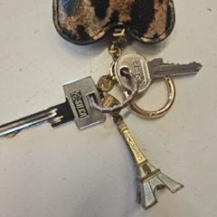 Key, as reported by GVB using iLost